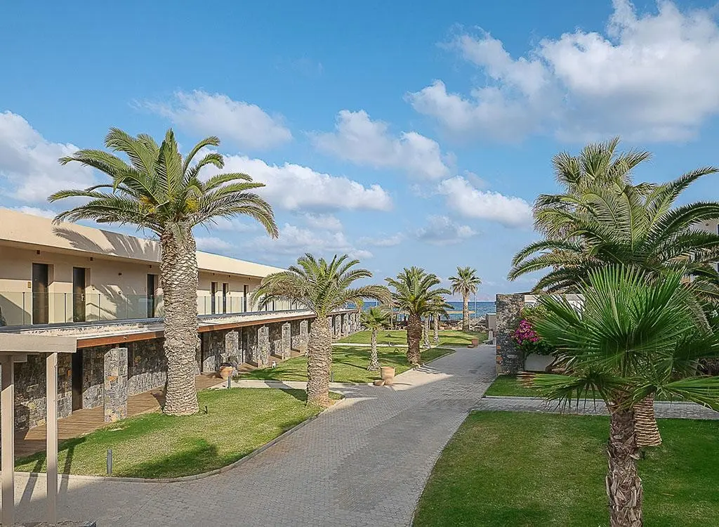 Club Aphrodite Beach — APHRODITE BEACH CLUB