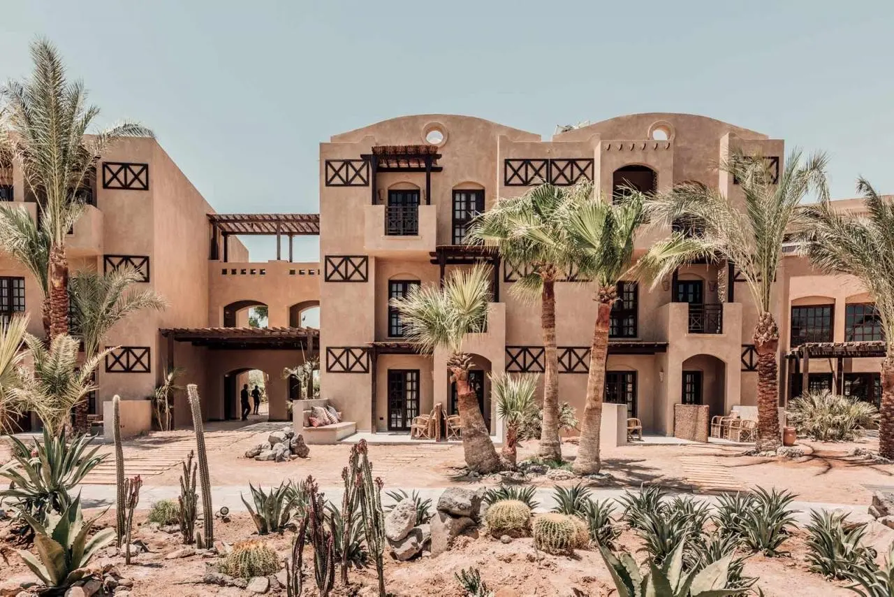 Cooks Club El Gouna — COOK’S CLUB EL GOUNA