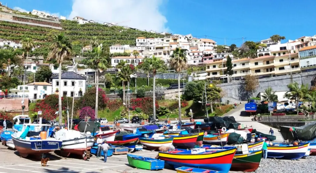 Widok z hotelu Pestana Churchill Bay