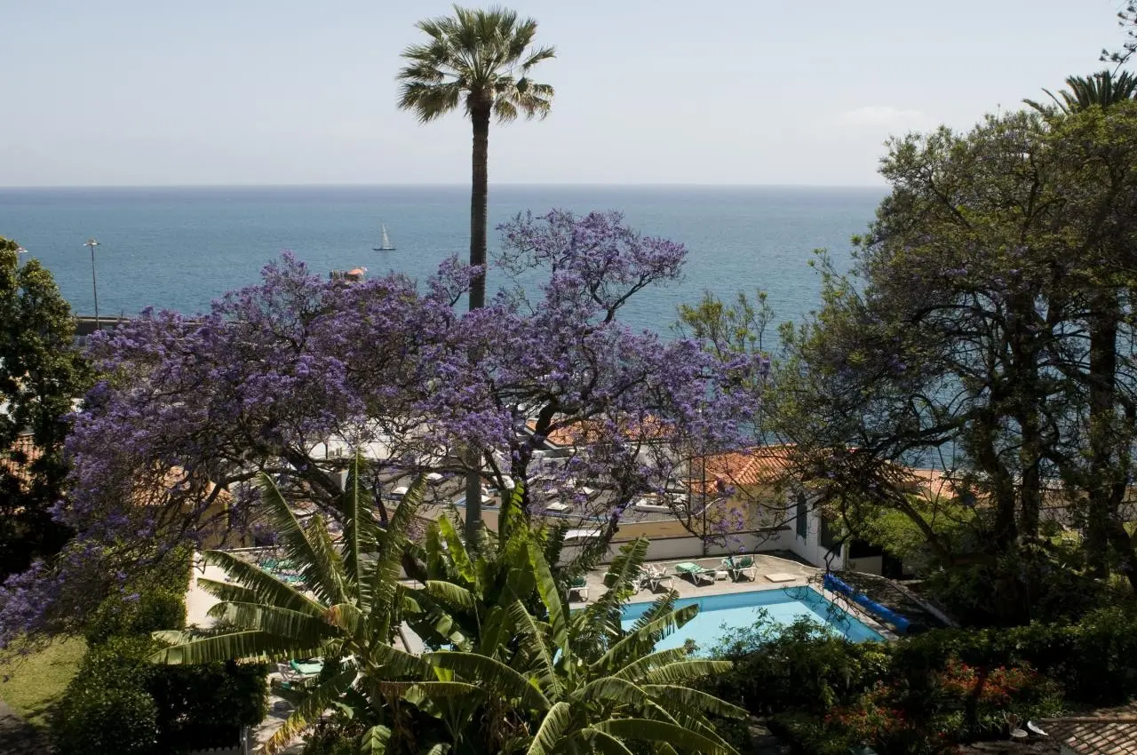 Widok z hotelu Quinta da Penha de Franca