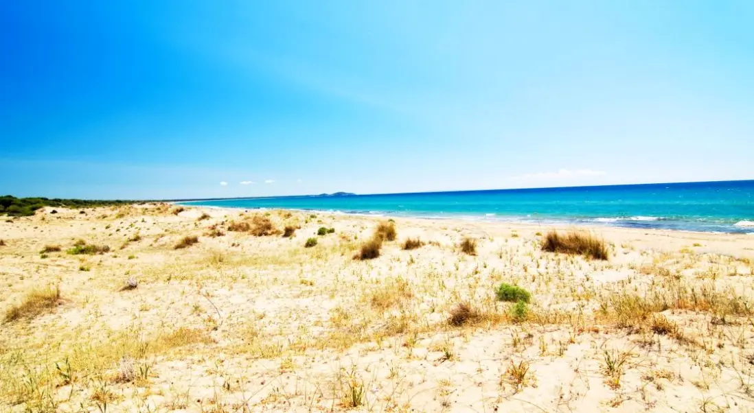 Plaża przy hotelu Verde al Mare