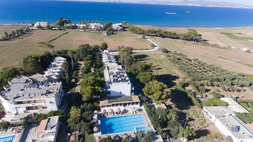 Blue Nest — BLUE NEST