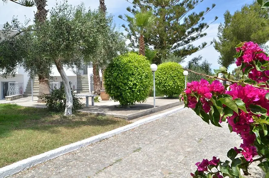 Blue Nest — BLUE NEST