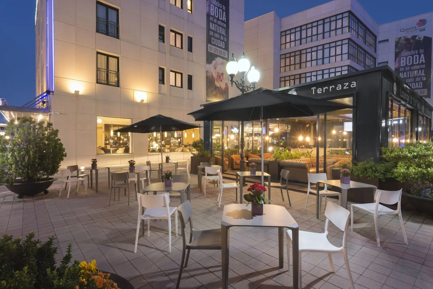 Elba Madrid Alcalá — ELBA MADRID ALCALA