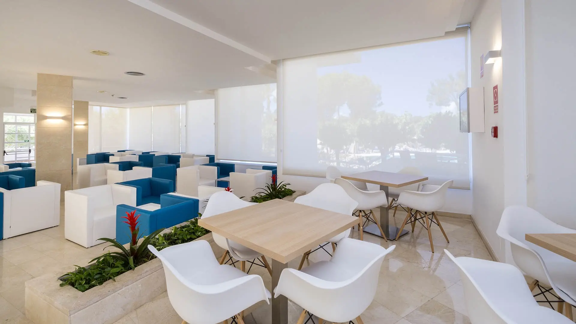 Globales Mediterrani — GLOBALES MEDITERRANI