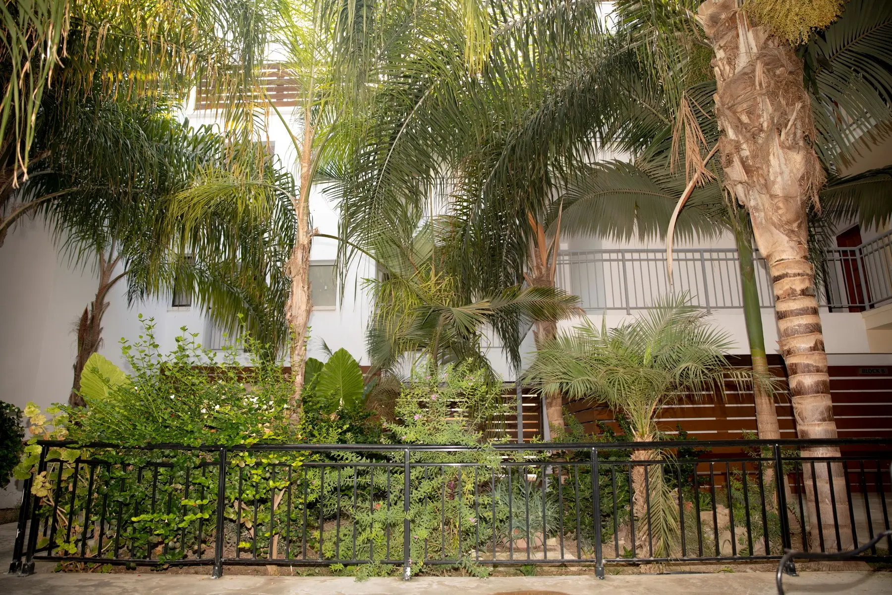 Kefalonitis Apartments — ALECOS HOTEL APARTMENTS