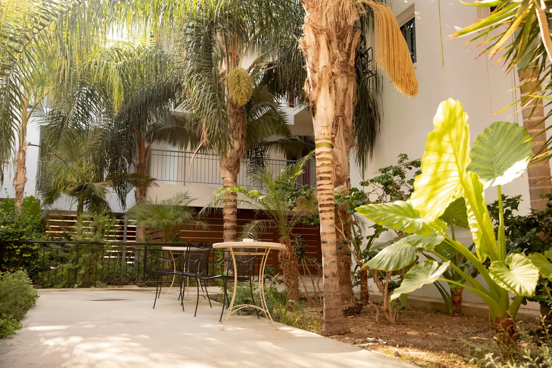 Kefalonitis Apartments — ALECOS HOTEL APARTMENTS