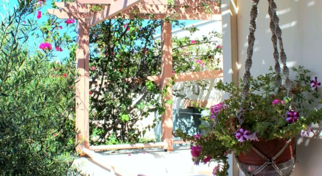 Obiekt hotelu Nissia Kamares