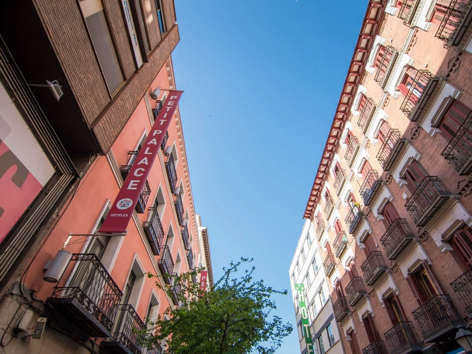 Hotel Petit Palace Tres Cruces