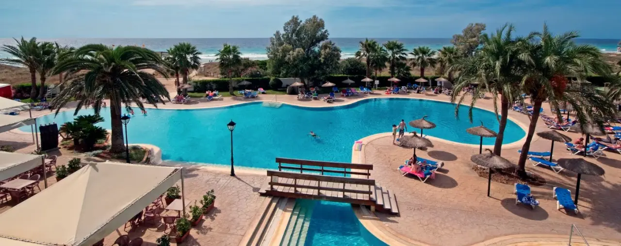 Sol Milanos Pinguinos — SOL MILANOS PINGUINOS