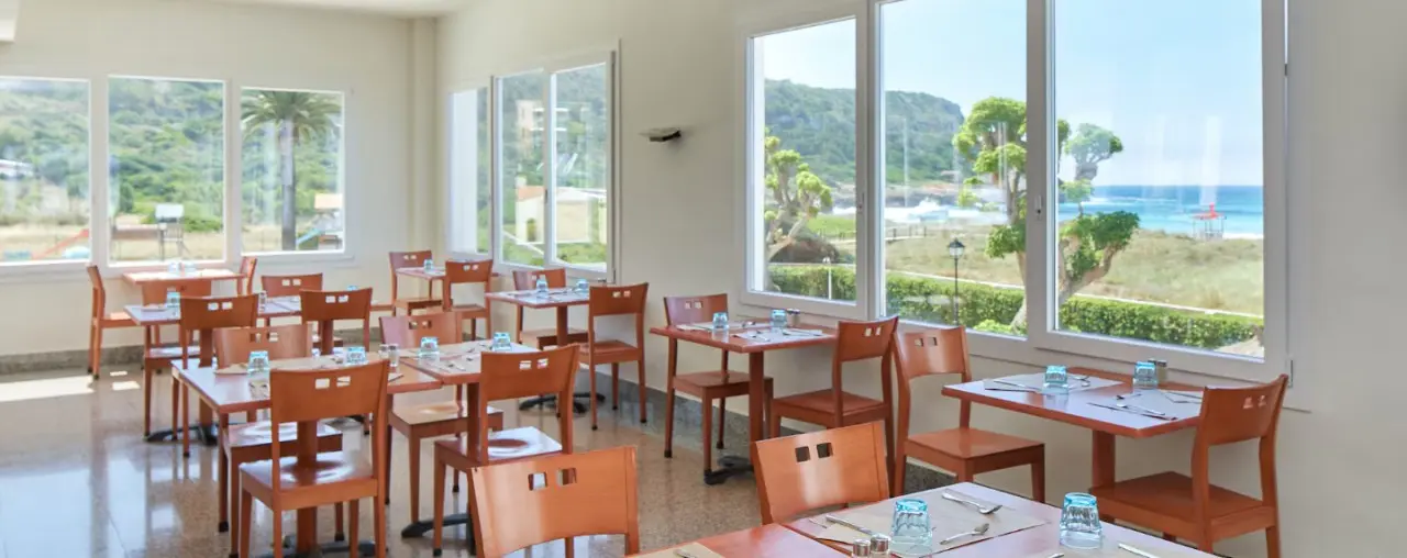 Sol Milanos Pinguinos — SOL MILANOS PINGUINOS