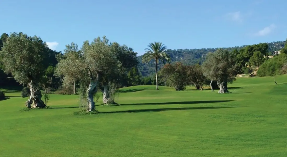 Son Caliu Spa Oasis