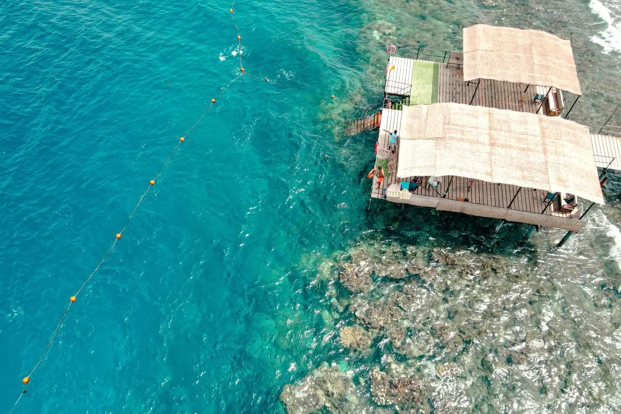 Alexander the Great — ALEXANDER THE GREAT RESORT