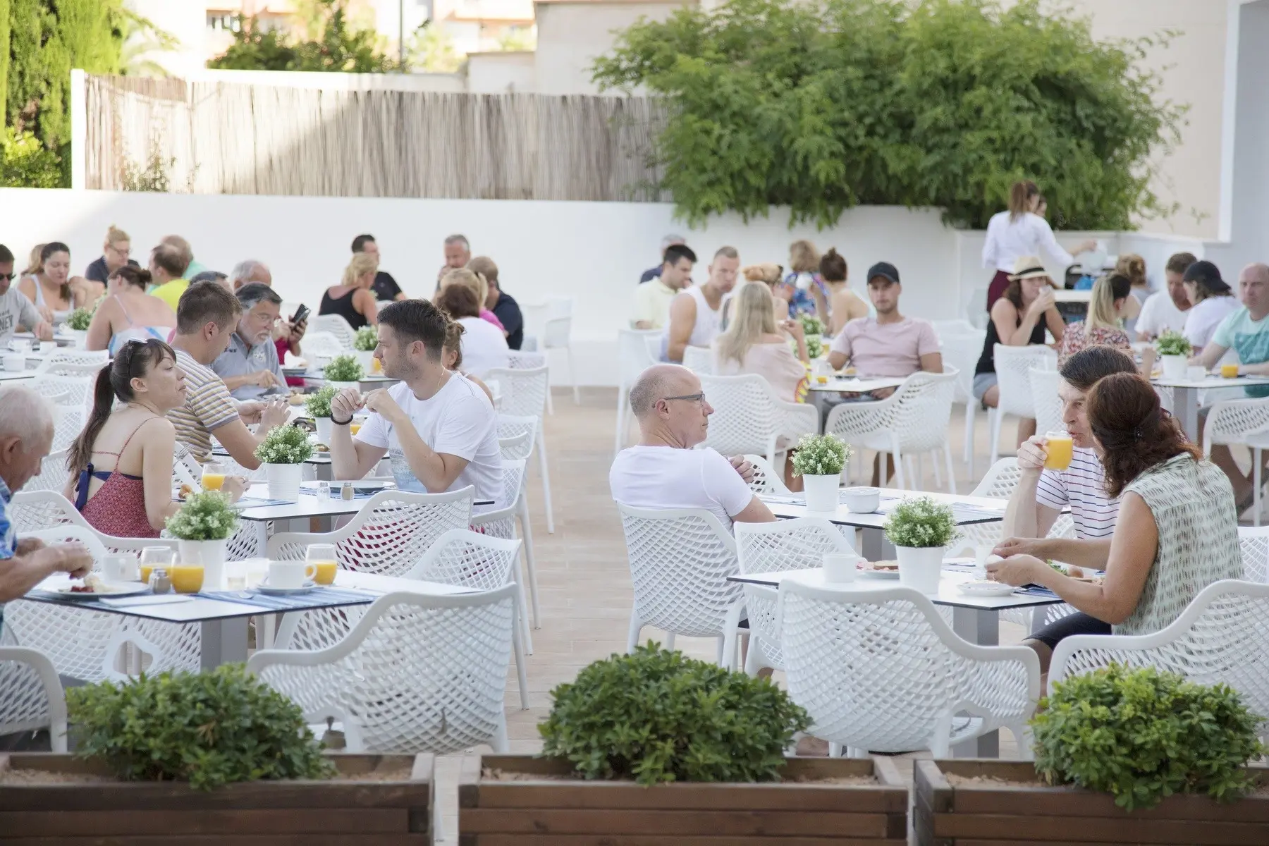 Alua Leo — ALUA LEO