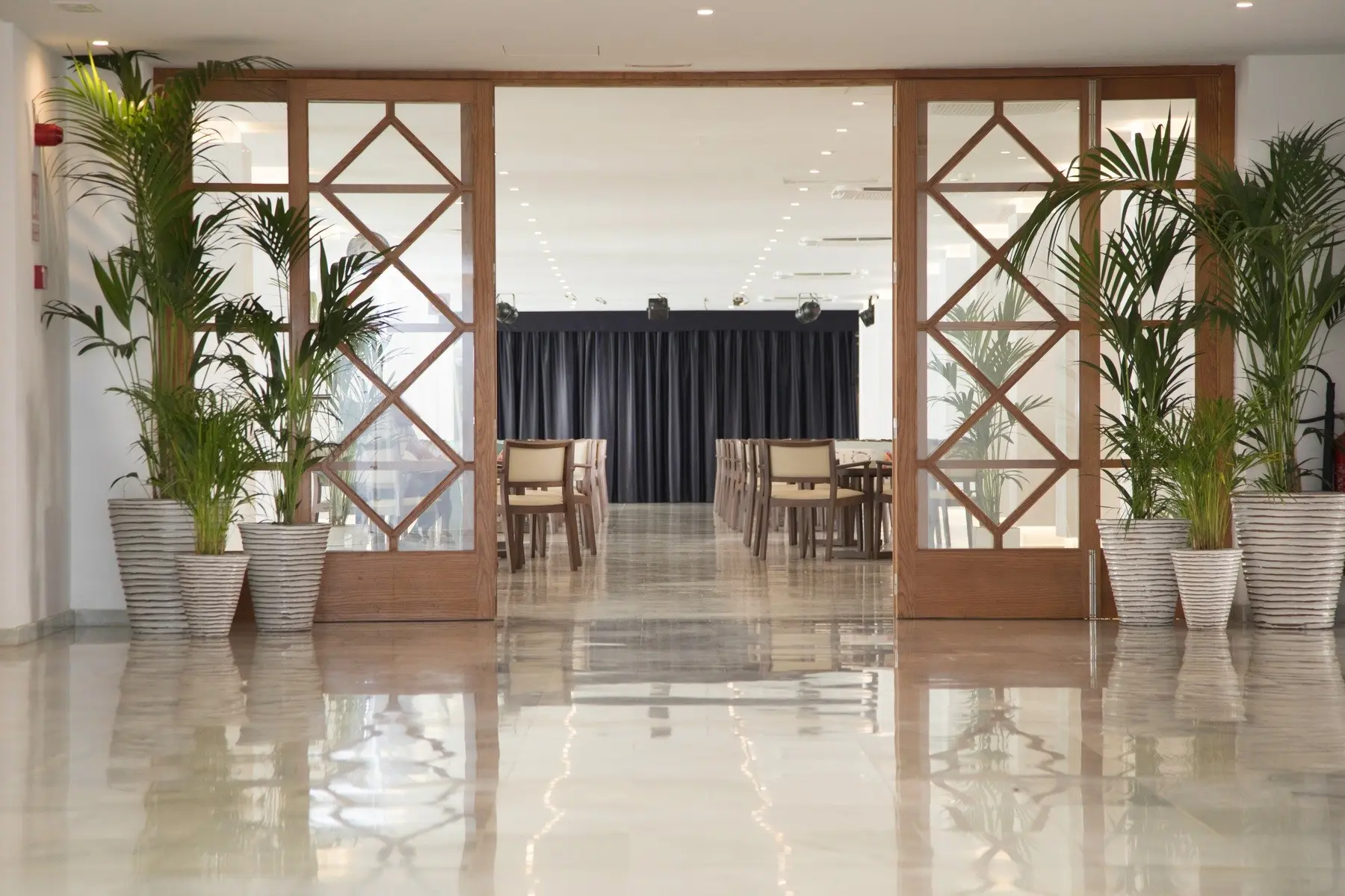 Alua Leo — ALUA LEO