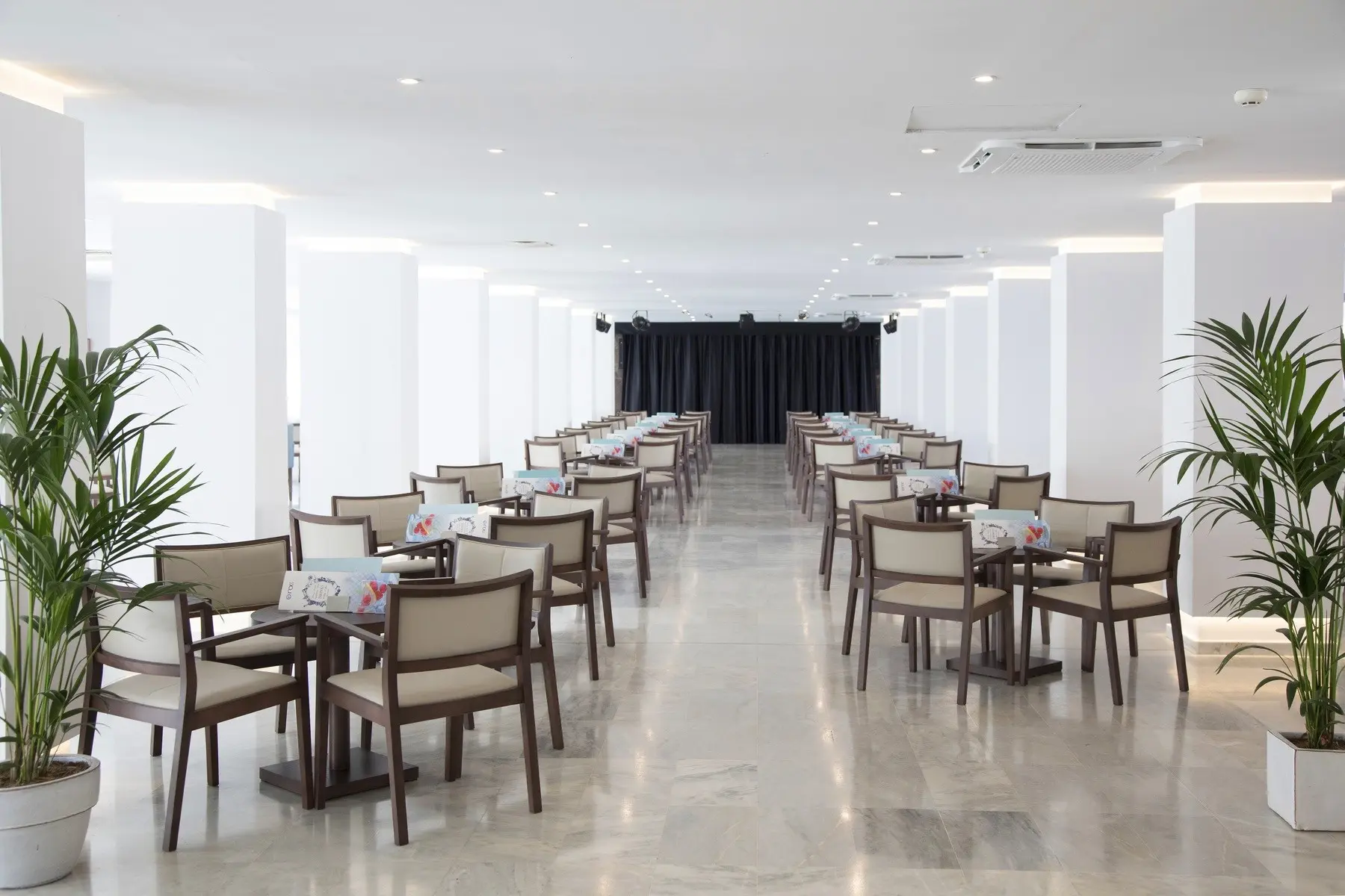 Alua Leo — ALUA LEO