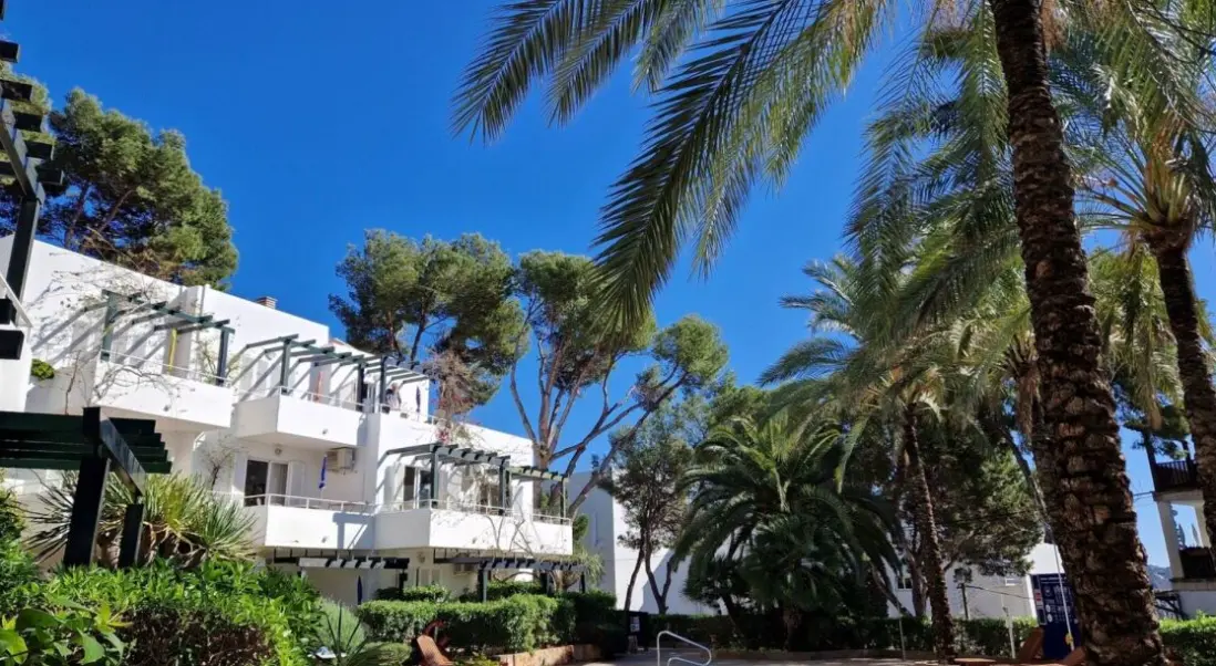 Plaża przy hotelu Appartements Los Tilos