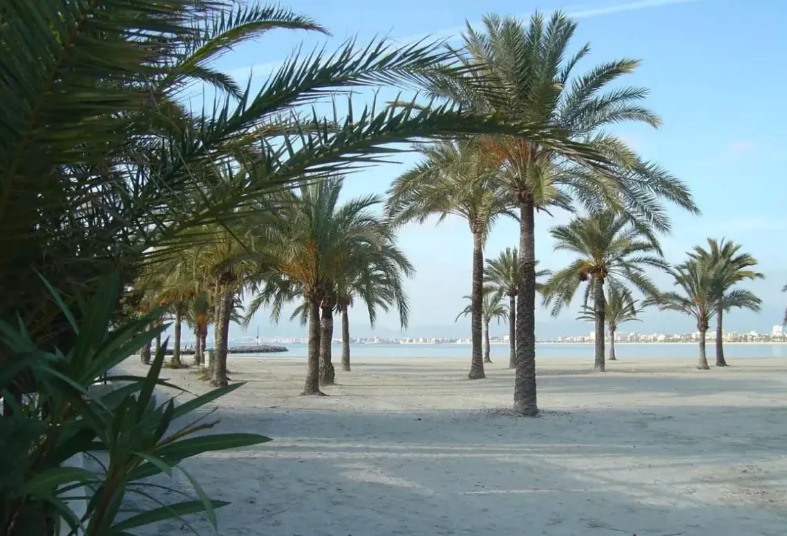 Plaża przy hotelu Blue Sea Mediodia
