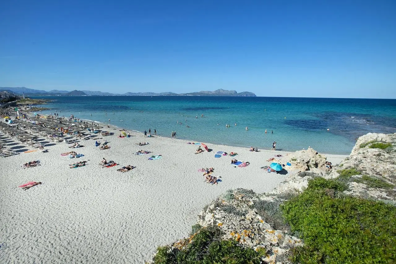 Exagon Park — EXAGON PARK