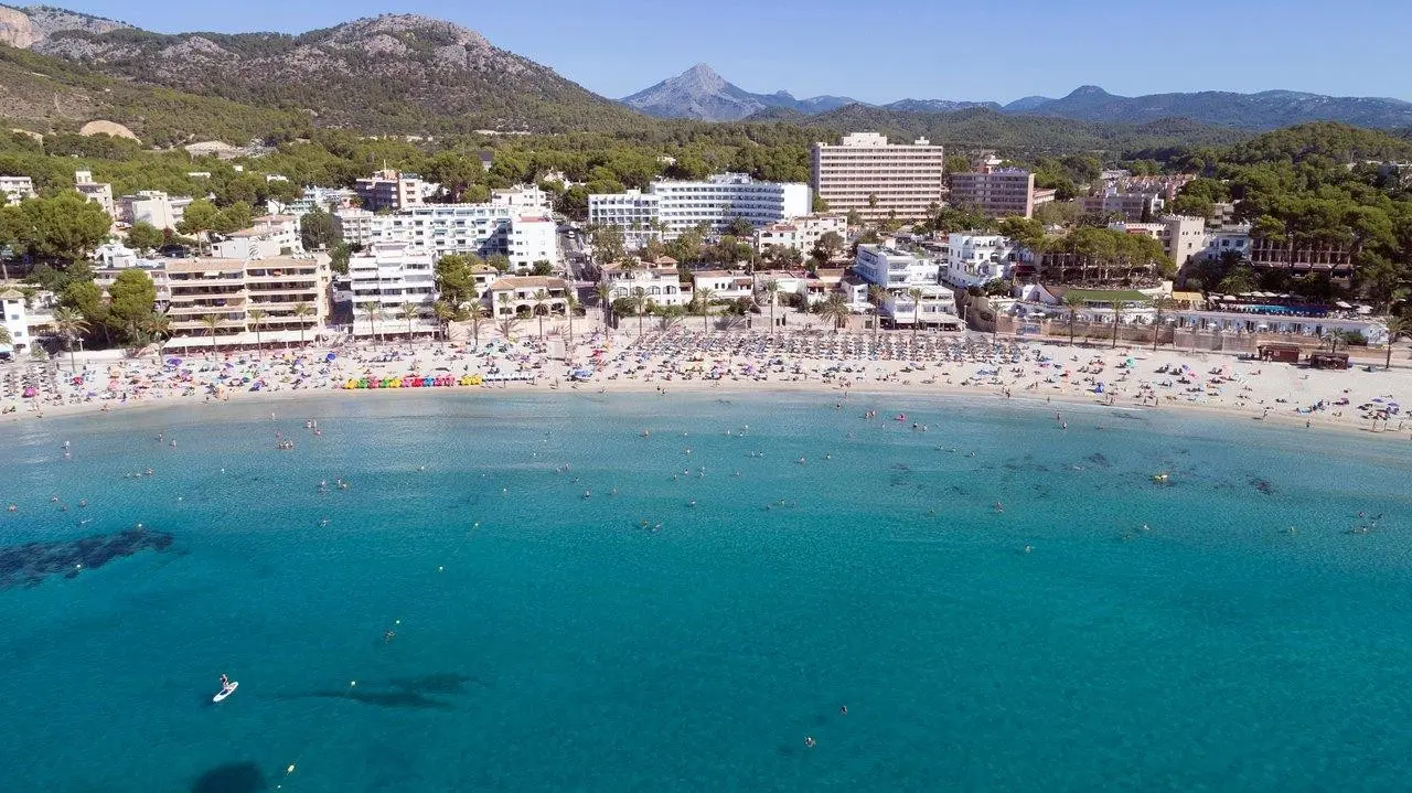 Plaża przy hotelu Hsm Linda Playa