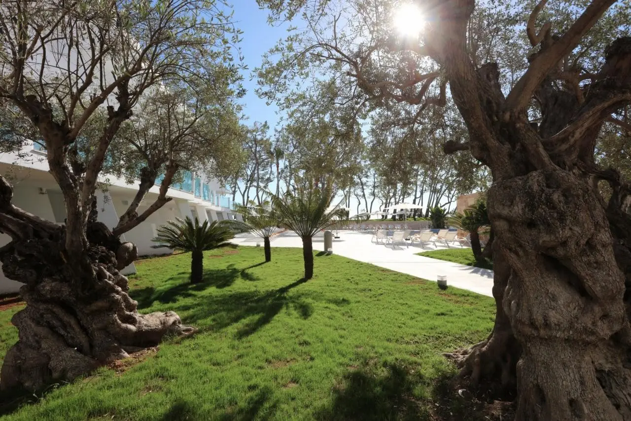 Iberostar Waves Playa de Muro — IBEROSTAR PLAYA DE MURO