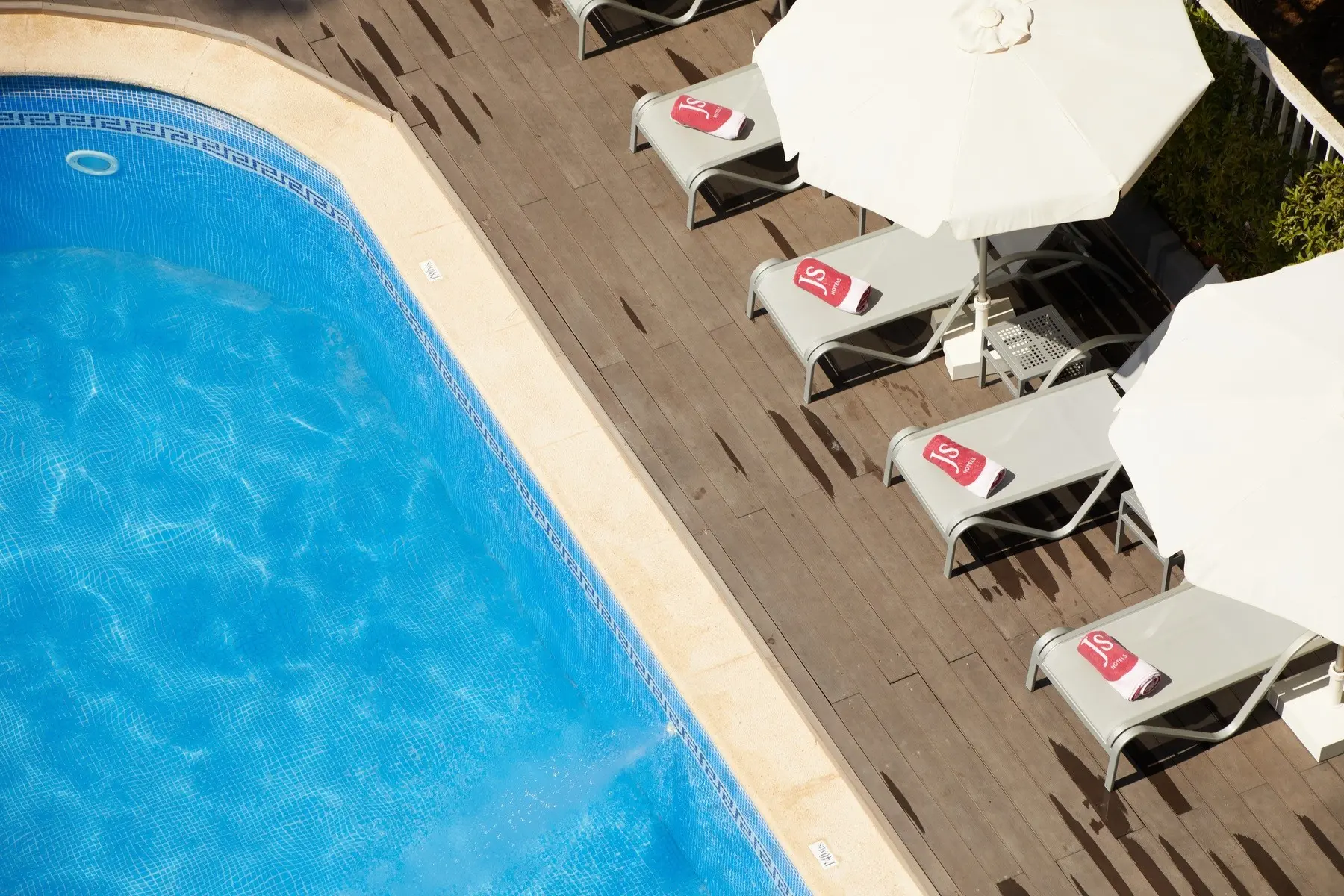 JS Paradise Sport — JS PARADISE SPORT