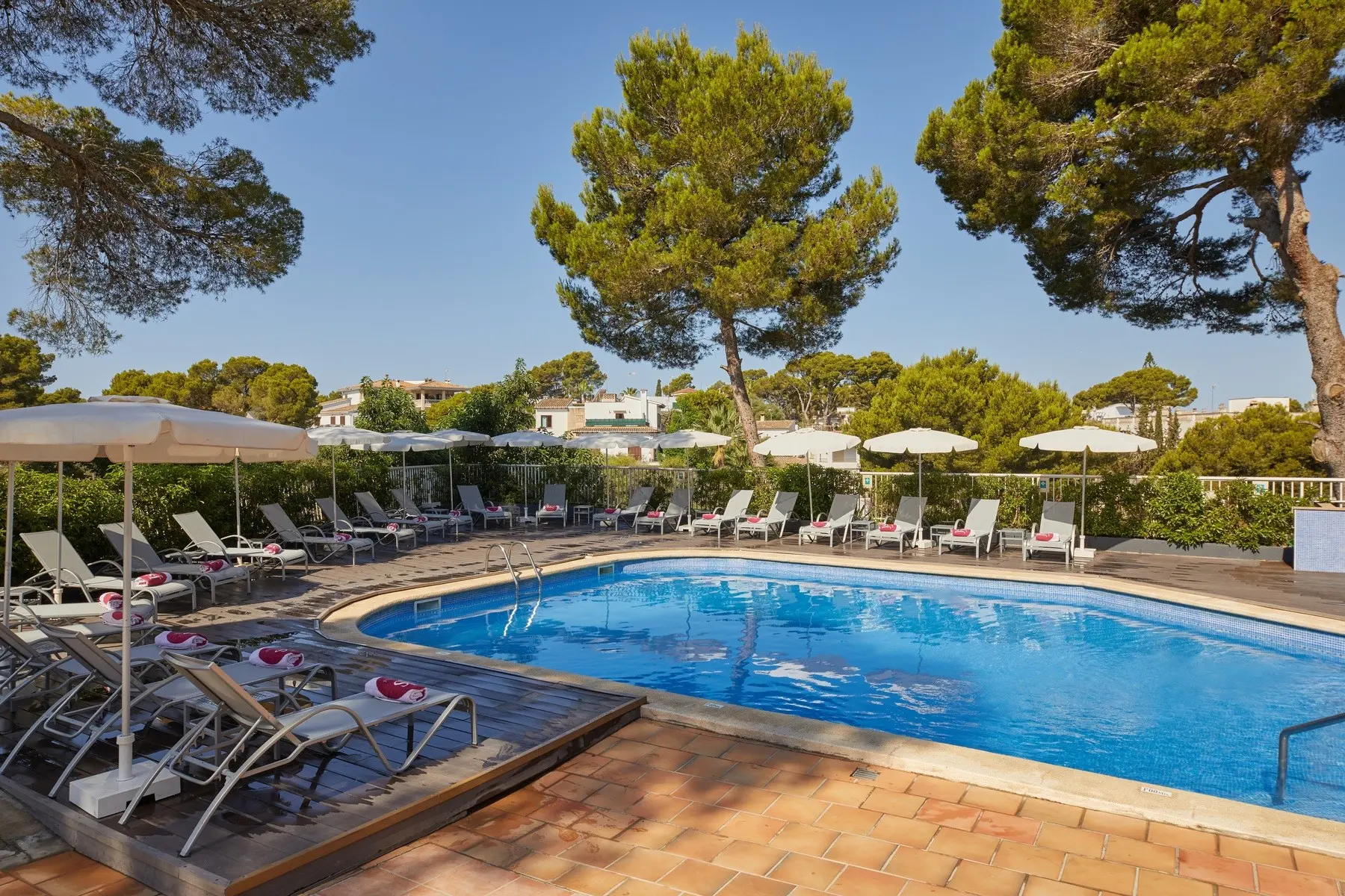 JS Paradise Sport — JS PARADISE SPORT