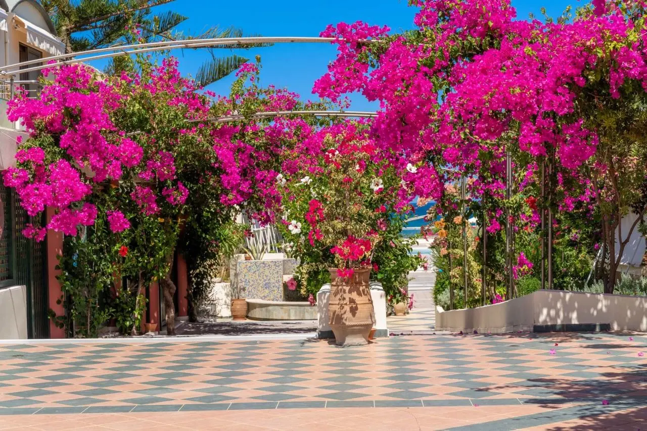 Kresten Palace — HYDRAMIS PALACE