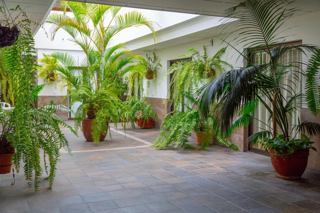 Marquesa — MARQUESA