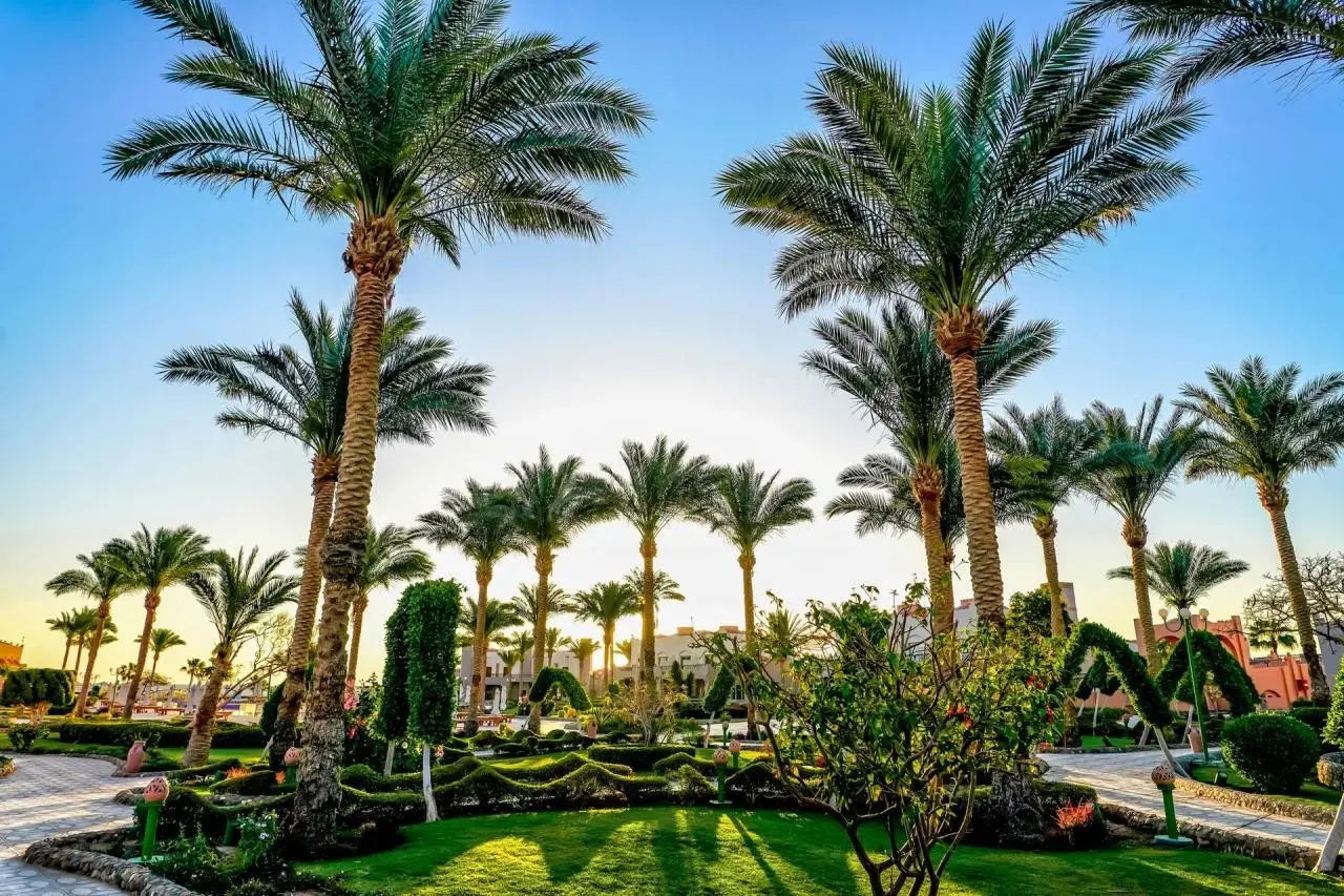 Sentido Akassia Beach — SENTIDO AKASSIA BEACH