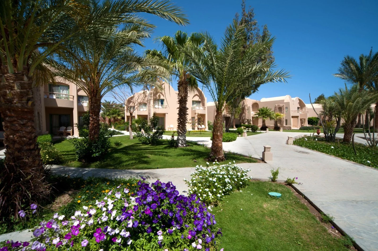 Hotel Shams Alam Beach Resort