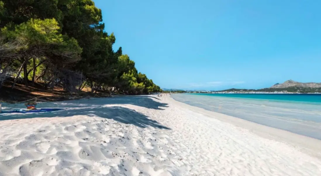 Plaża przy hotelu TUI Suneo Platja Dor