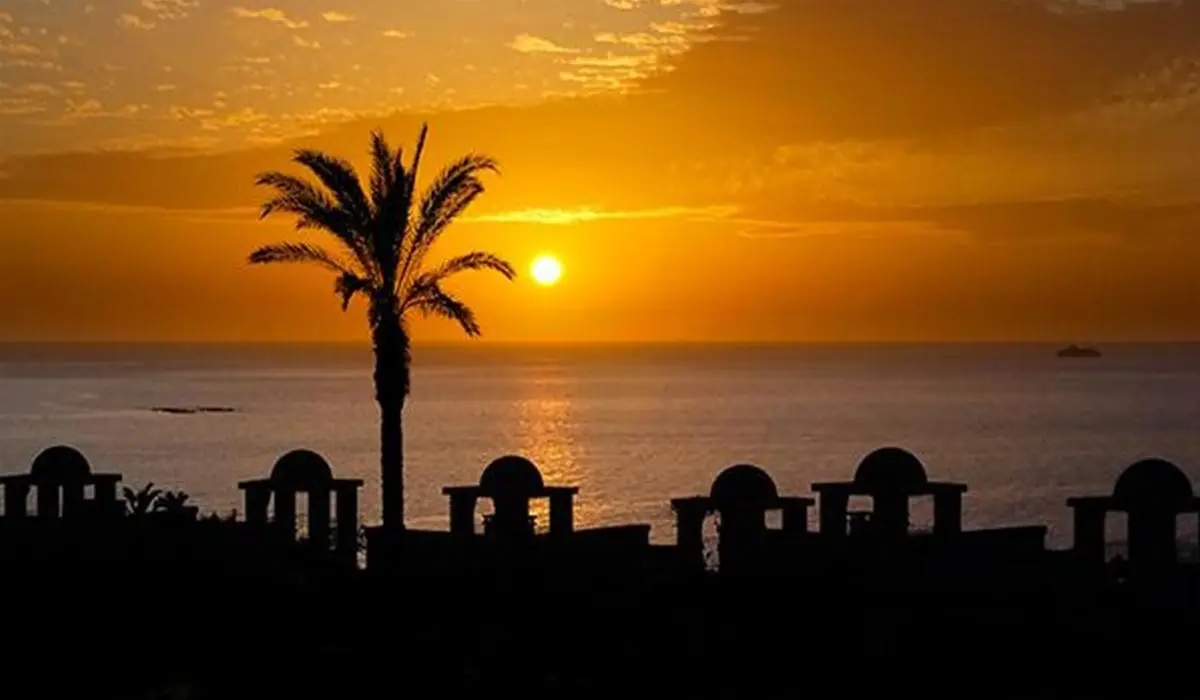 Vincci Selección La Plantación del Sur — VINCCI LA PLANTACION DEL SUR