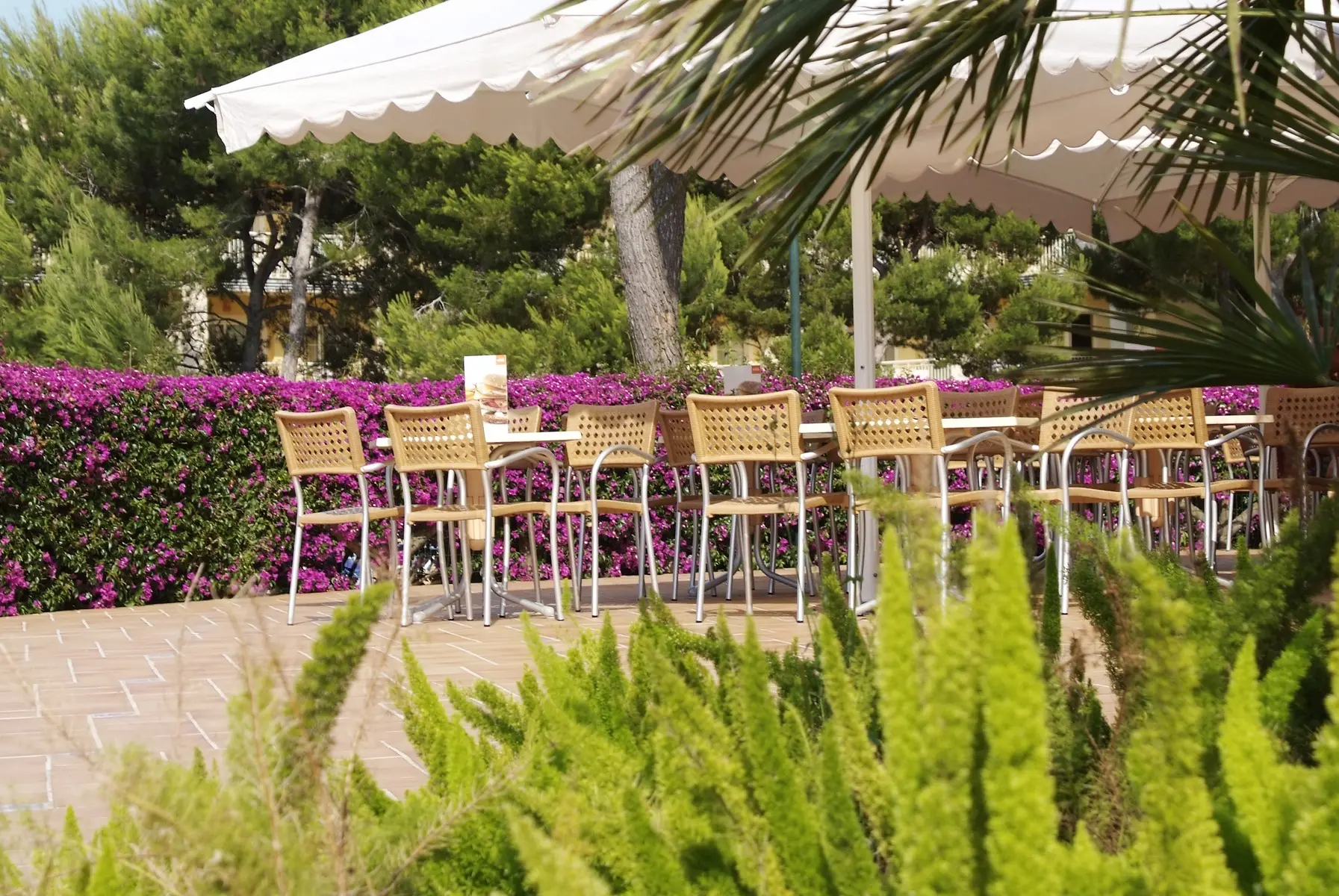 Restauracja i jedzenie w hotelu Zafiro Mallorca