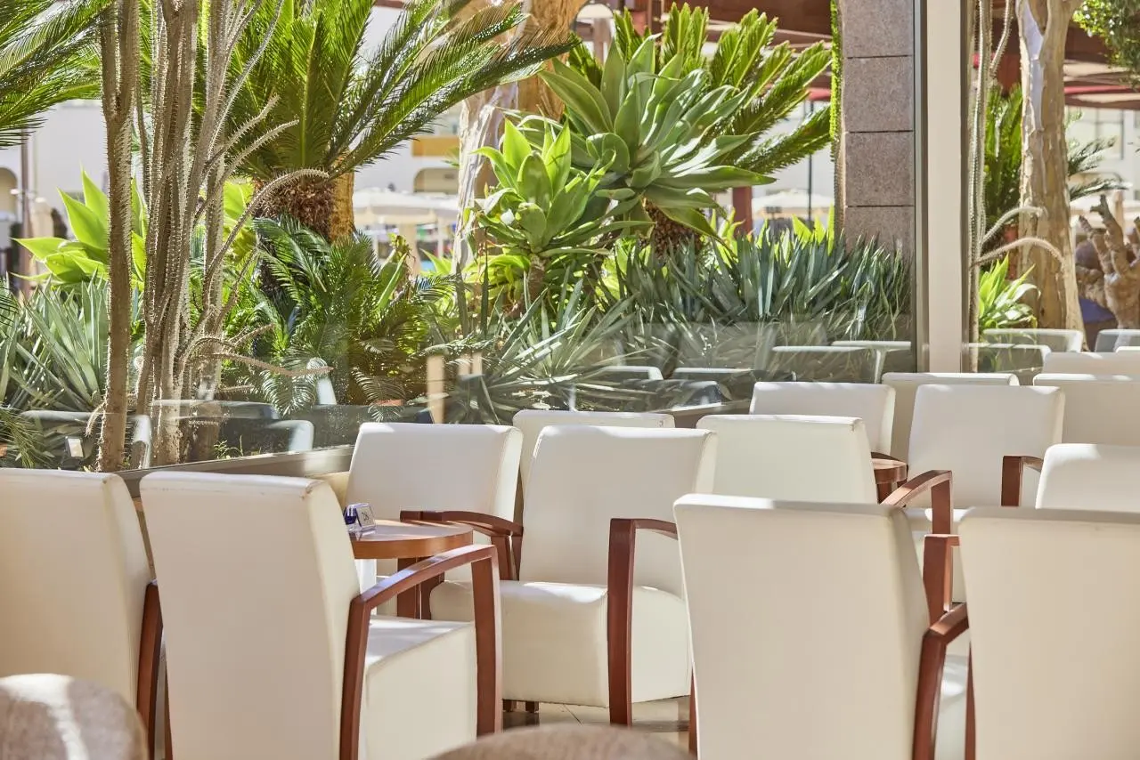 Zafiro Tropic — ZAFIRO TROPIC