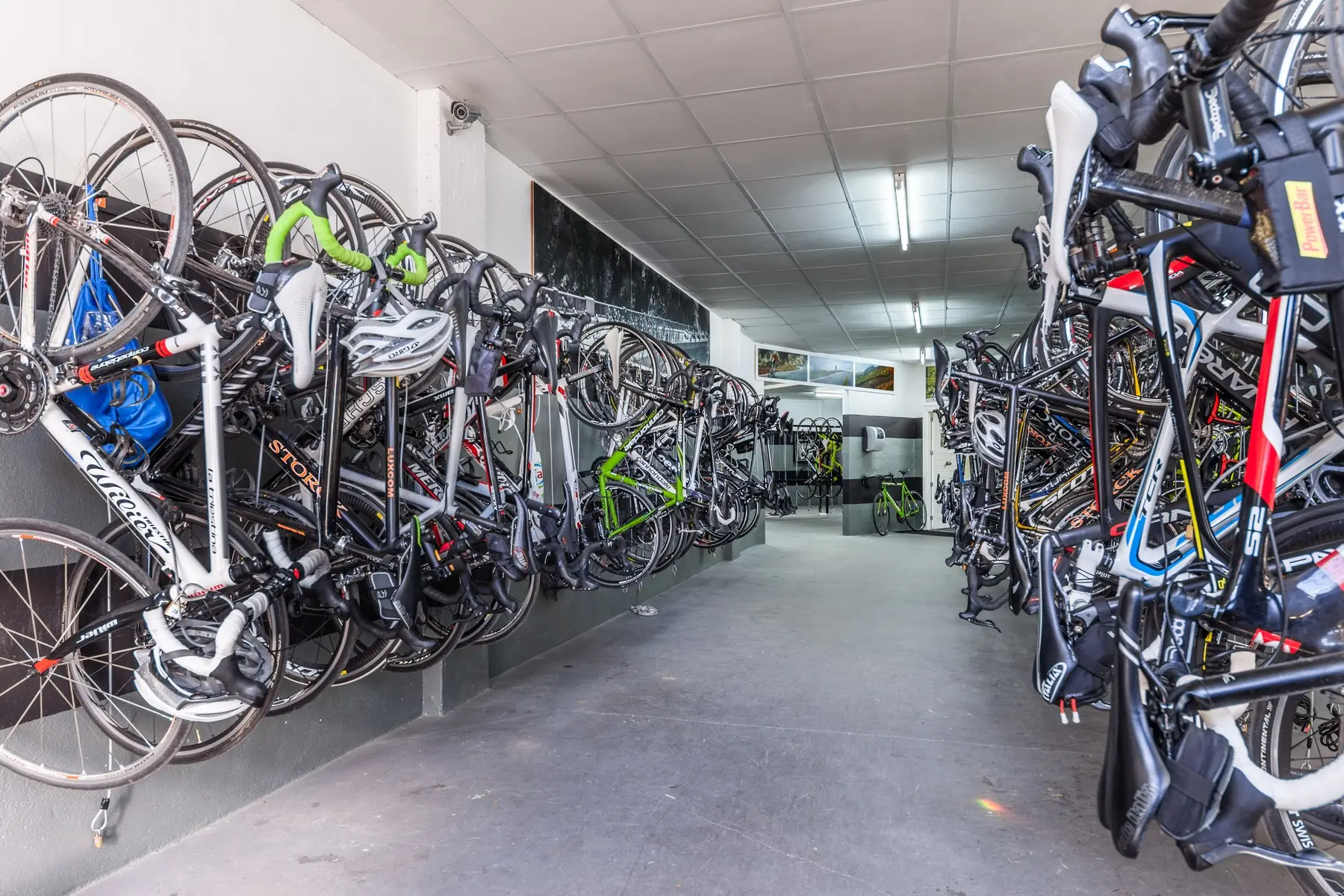 Zafiro Tropic — ZAFIRO TROPIC