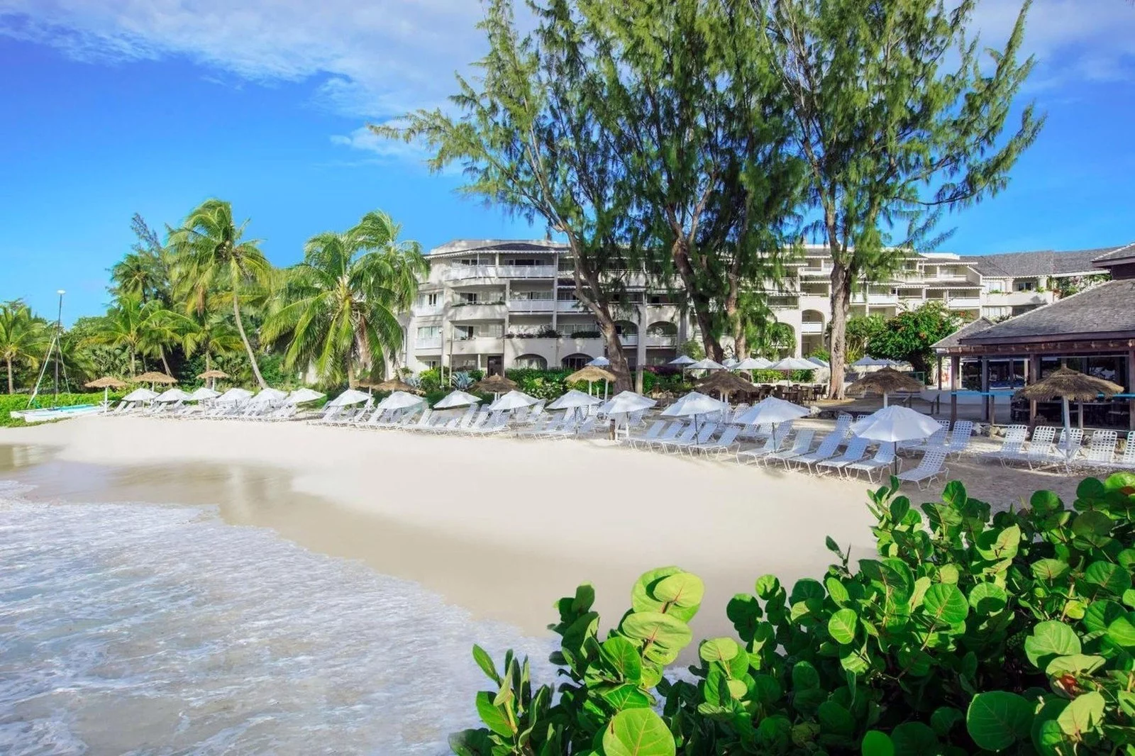 Hotel Hotel Bougainvillea Barbados w Barbados - oferta last minute