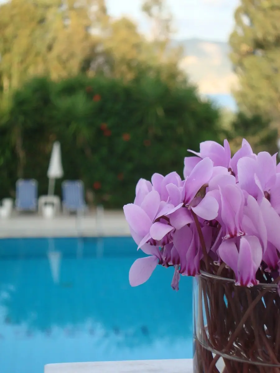 Castelli — CASTELLI