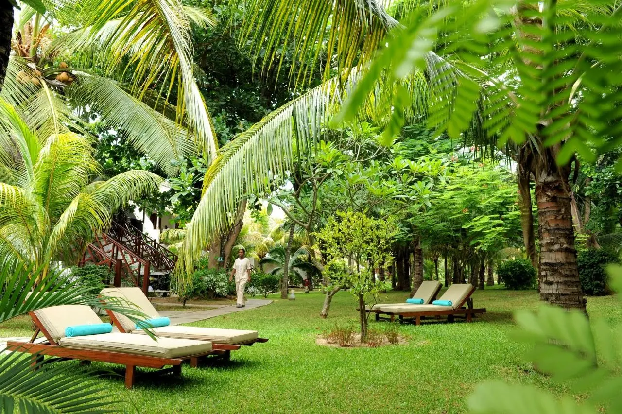 Coin de Mire Attitude — COIN DE MIRE ATTITUDE