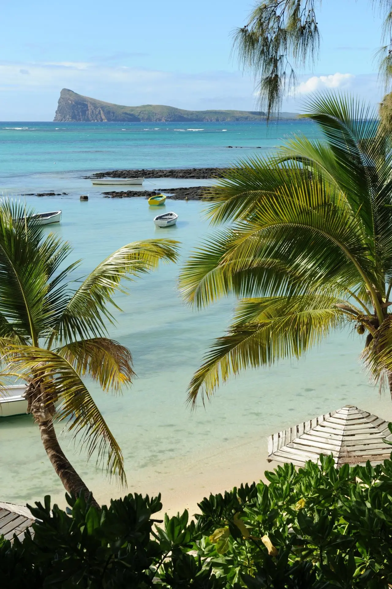 Coin de Mire Attitude — COIN DE MIRE ATTITUDE