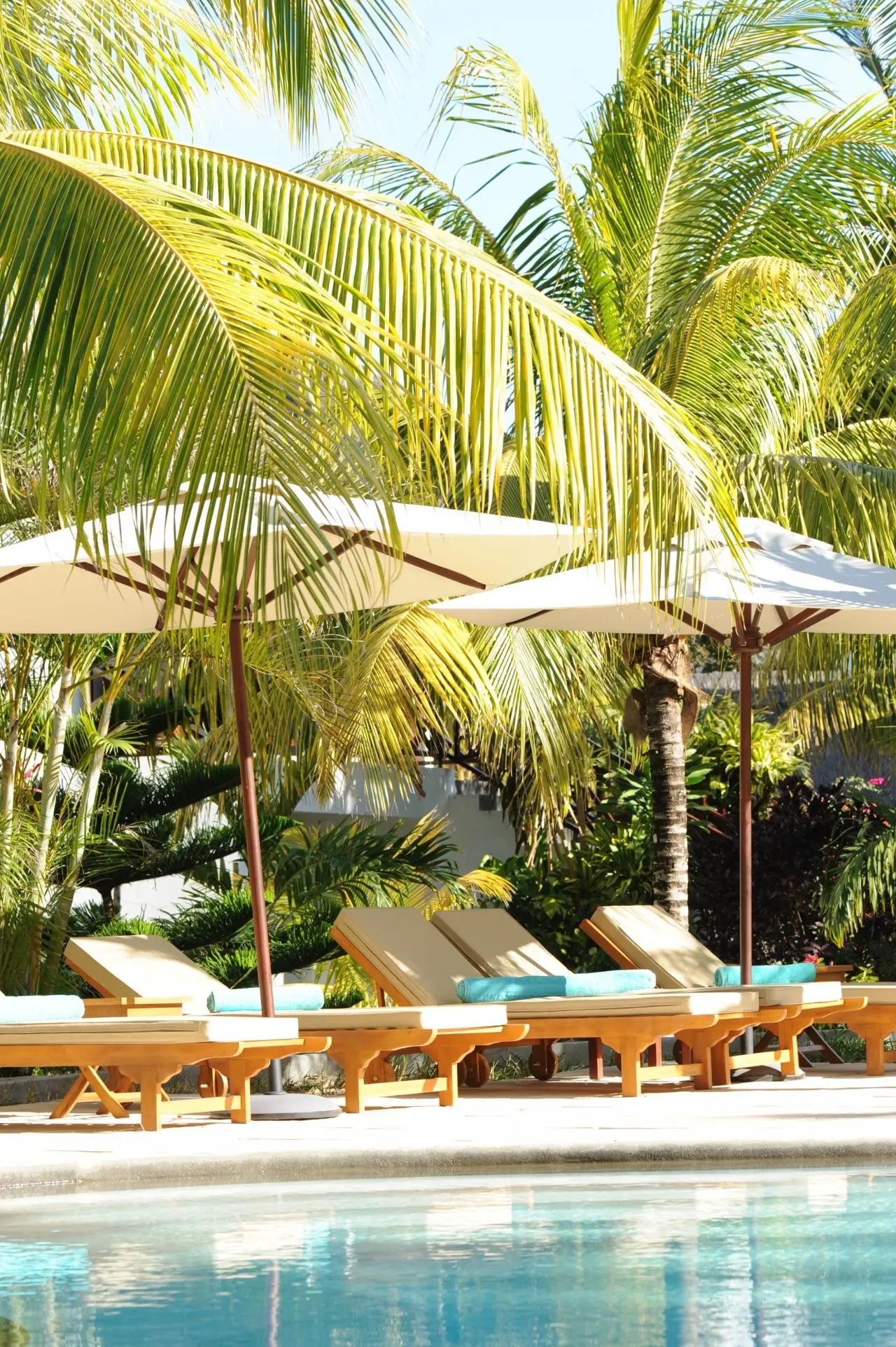 Coin de Mire Attitude — COIN DE MIRE ATTITUDE