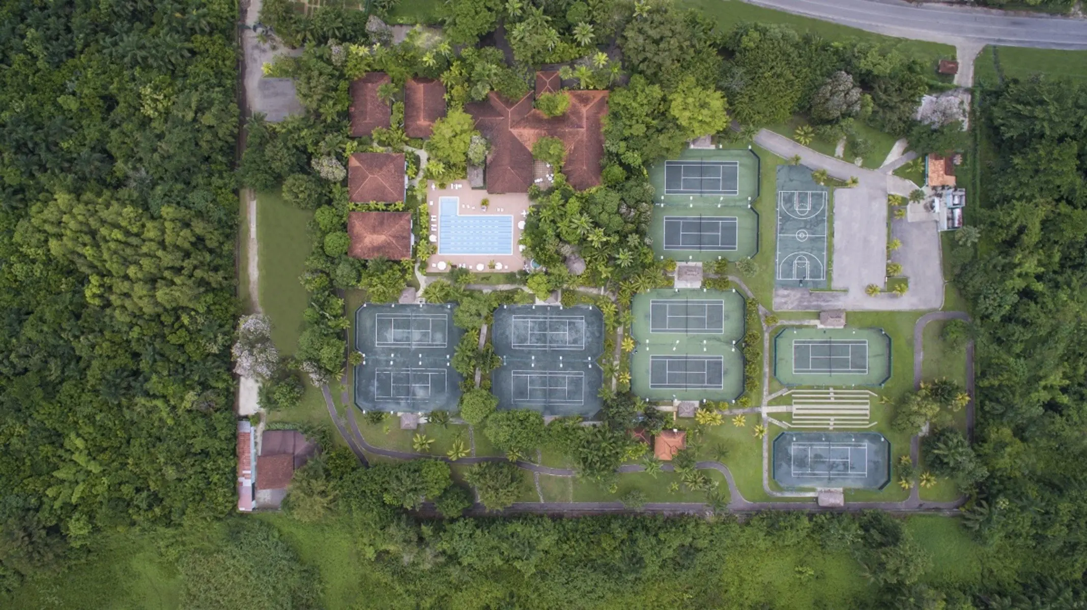 Couples Swept Away — COUPLES SWEPT AWAY