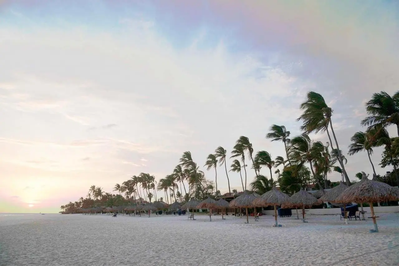 Divi Dutch Village Beach Resort — DIVI DUTCH VILLAGE BEACH RESORT