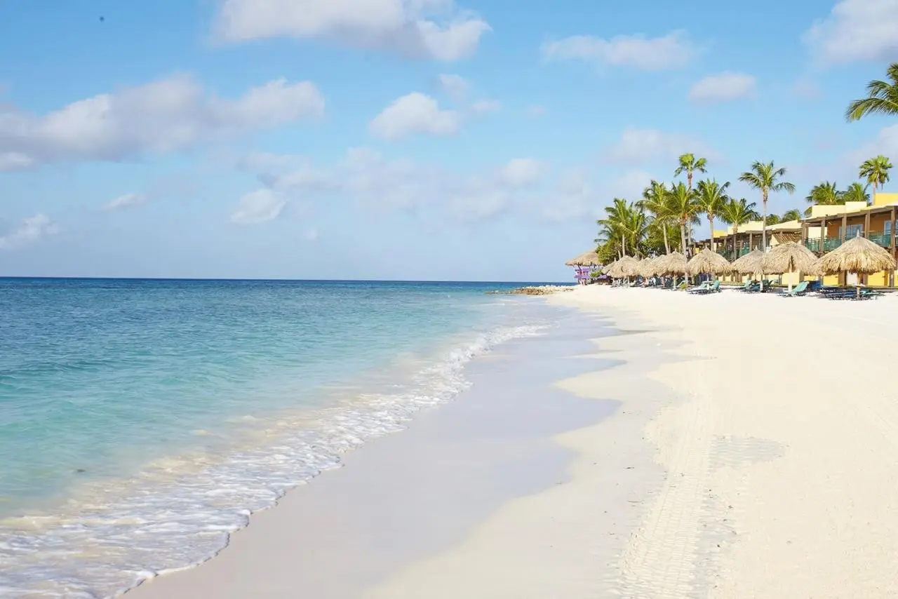 Divi Dutch Village Beach Resort — DIVI DUTCH VILLAGE BEACH RESORT