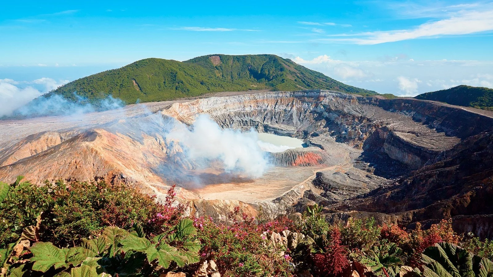 Hotel Dzika Kostaryka w Kostaryka - oferta last minute