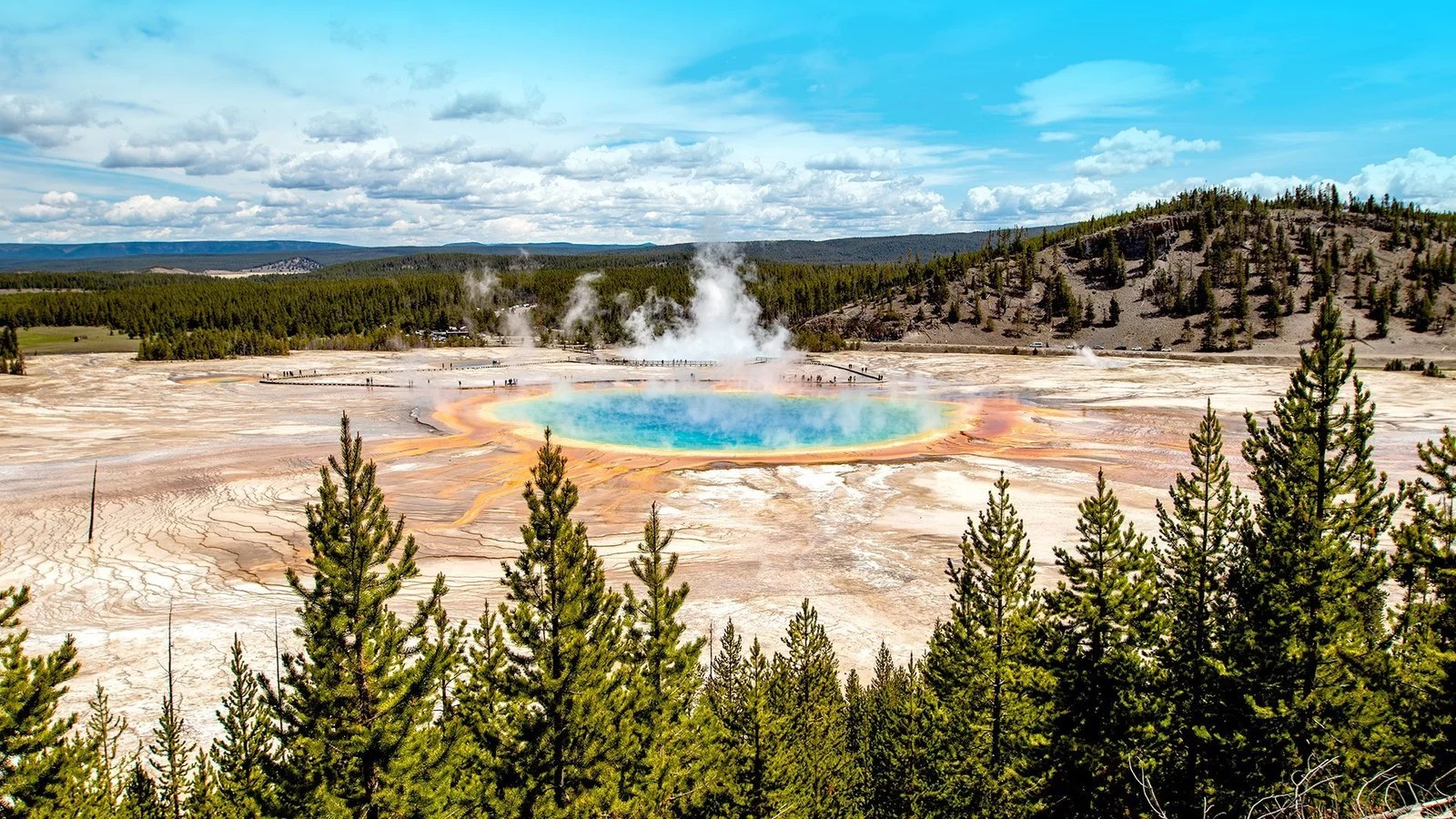 Wycieczka Dzika przyroda USA: od Yellowstone po Arches