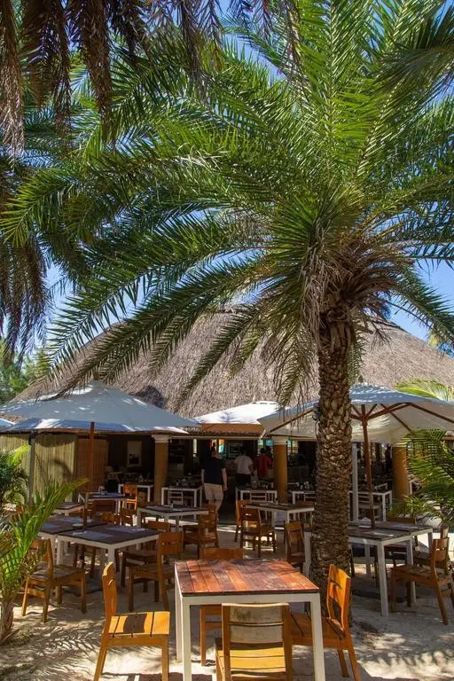 Friday Attitude — FRIDAY ATTITUDE