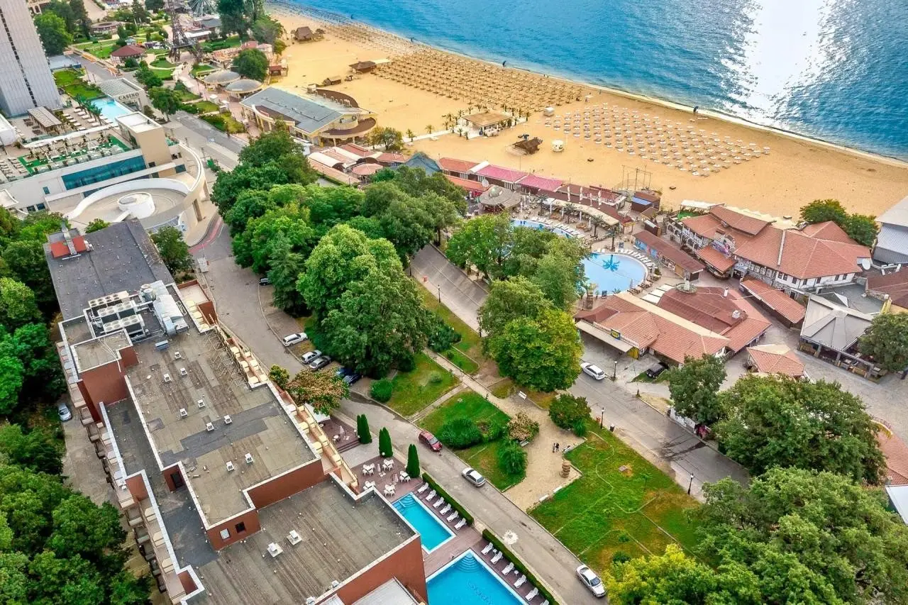 Gladiola Star — GLADIOLA STAR