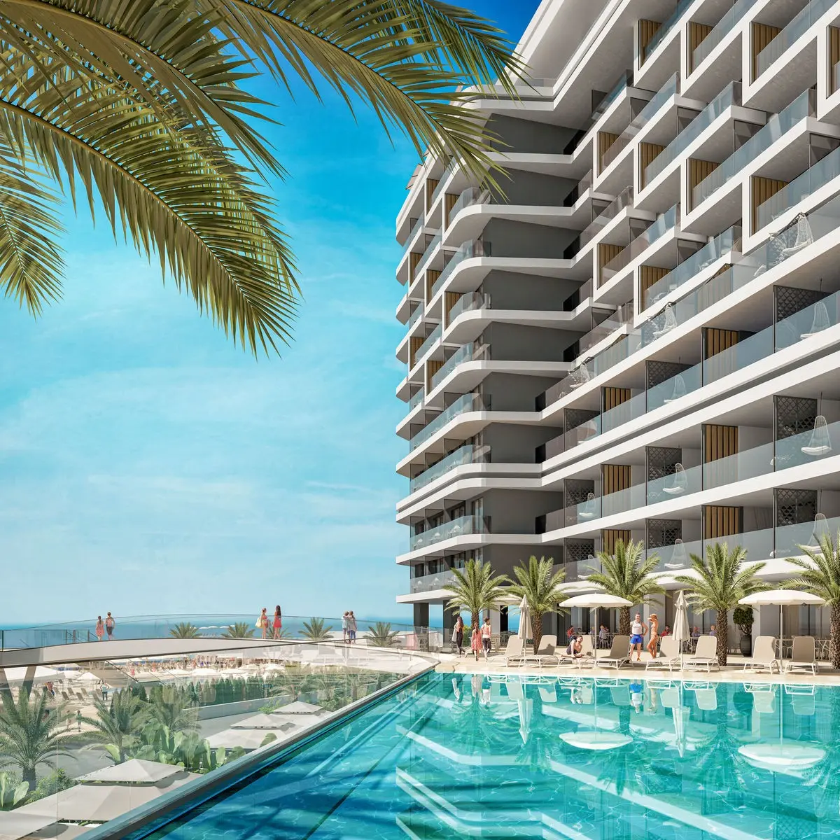 Grifid Noa — GRIFID NOA