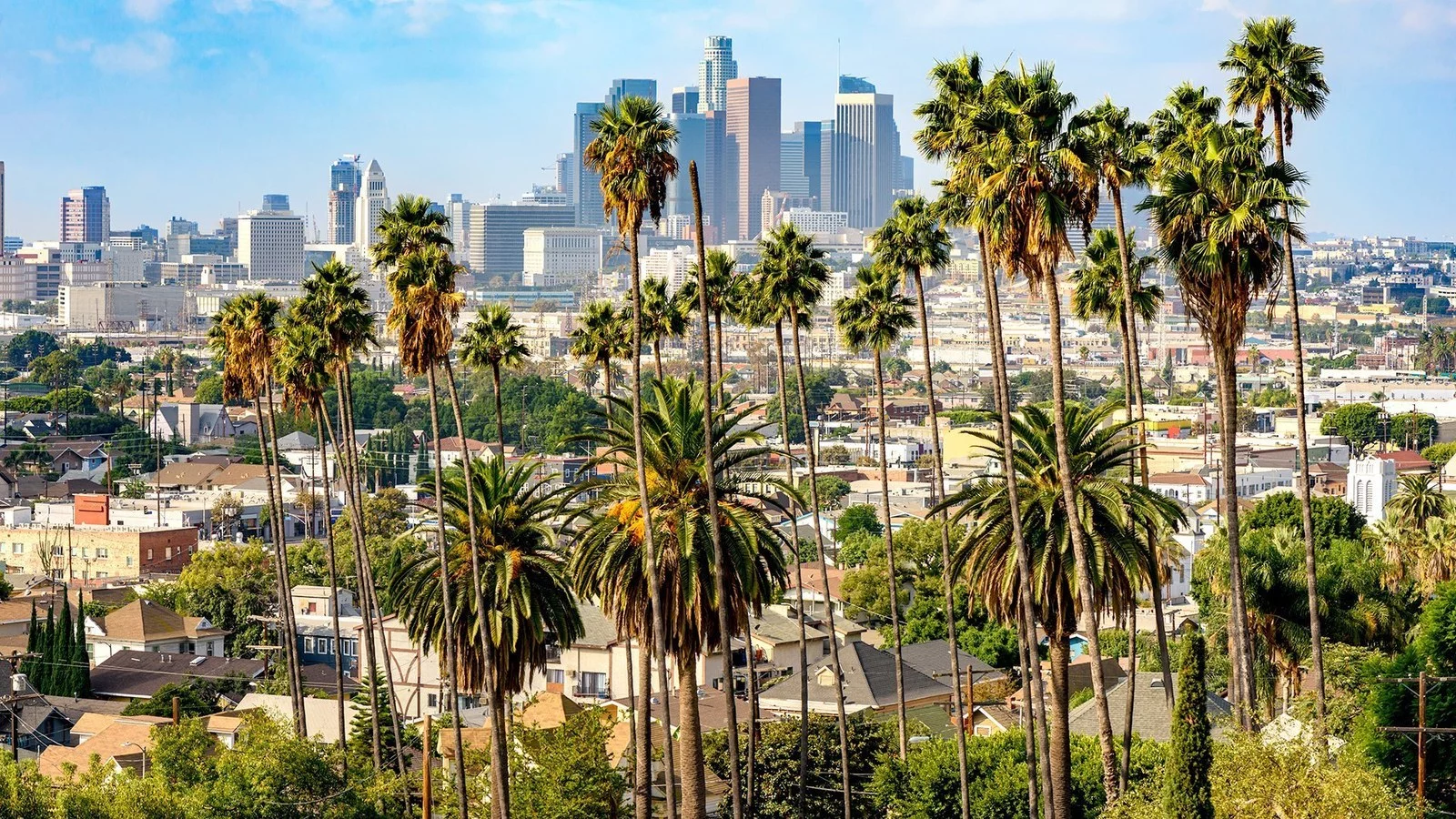 Wycieczka Gwiazdy Kalifornii